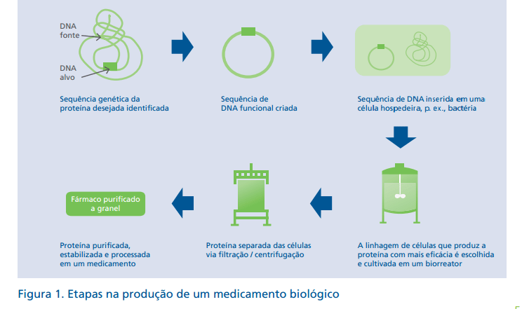 Etapas-medicamentos-biológicos